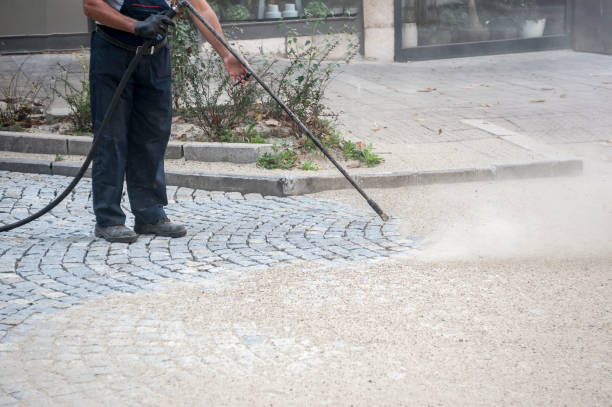 Best Gutter Cleaning and Brightening in Eagle Lake, WI