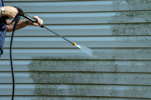 Best Sidewalk and Walkway Pressure Cleaning in Eagle Lake, WI